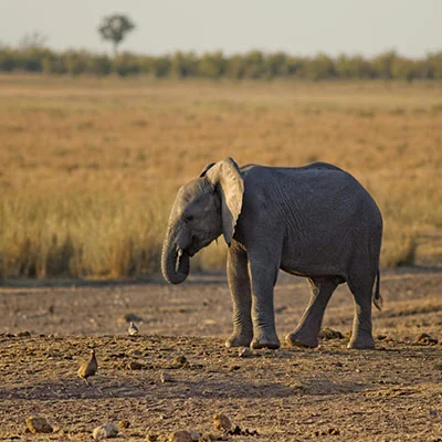 路由器v2ray白名单配置全攻略：精准控制代理流量的终极指南