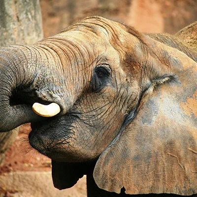 深度解析土行孙科学上网的方法与技巧