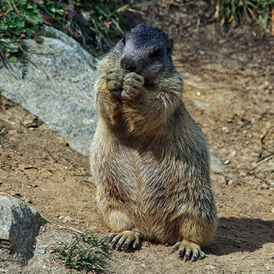 冲浪板个性化设置全攻略：从新手到高手的进阶指南