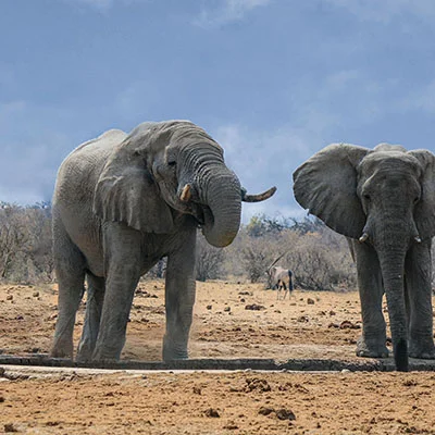 解锁网络自由：Clash代理工具的全面指南与实战教程